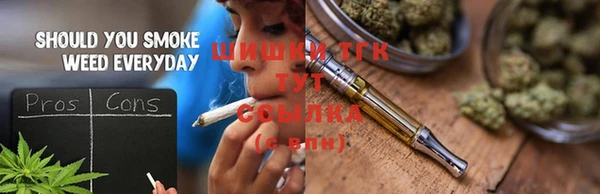 бошки Ладушкин