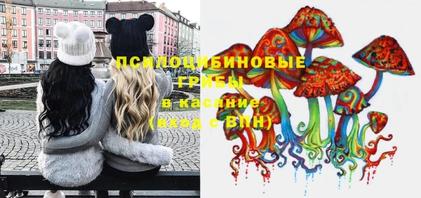 бошки Ладушкин