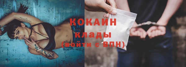 бошки Ладушкин