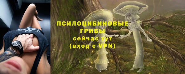 бошки Ладушкин